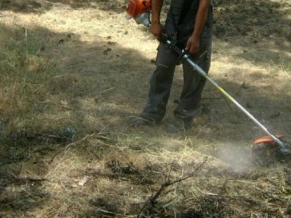Δήμος Καρδίτσας: Μέχρι 30 Απριλίου θα πρέπει να έχει ολοκληρωθεί ο καθαρισμός των οικοπέδων και ακάλυπτων χώρων από τη εαρινή βλάστηση