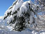 Χιόνια στα ορεινά του νομού Καρδίτσας