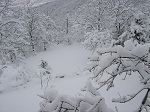 Έντονη χιονόπτωση σε ολόκληρη τη Θεσσαλία (Ανανέωση 08:00)