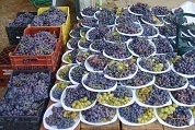 27η Γιορτή Σταφυλιού στη Δαφνοσπηλιά Καρδίτσας
