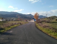 ampeliko