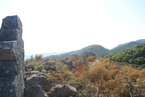 Φώτο: ellinopirgos.com