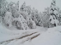 Φώτο: Λίμνη Πλαστήρα από Φώτης Μ.