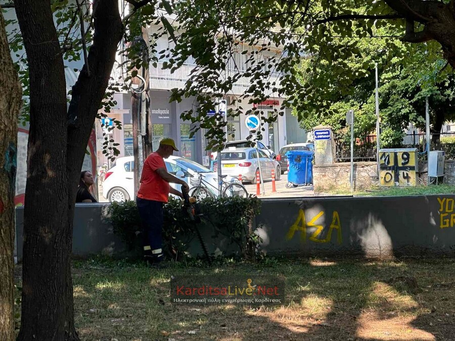 prasino_paus1_435cb.jpg