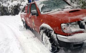 Ευρυτανία: Απομάκρυναν δέντρα που έπεσαν στο δρόμο από το χιόνι (+Βίντεο)