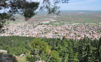 Μόνον τηλεφωνικά από αύριο Δευτέρα 10/8 η εξυπηρέτηση των πολιτών από το Δήμο Φαρσάλων