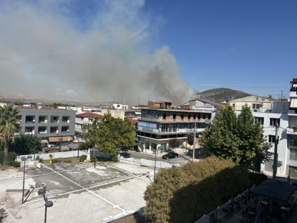 Πυρκαγιά στο όρος Σούρλα έξω από τα Φάρσαλα - Επιχειρούν και εναέρια μέσα (+Φωτο)