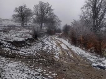 Ελαφριά χιονόστρωση στα ορεινά της Καρδίτσας σημειώθηκε το βράδυ του Σαββάτου