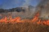 Μεγάλη φωτιά στην Παλαιά Φώκαια - Έγιναν 40 απεγκλωβισμοί κατοίκων - Εστάλη μήνυμα 112 για εκκένωση προς Λαγονήσι