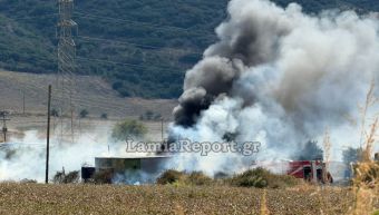 Πυρκαγιά στην Αγριλιά Λαμίας – Ισχυρές δυνάμεις της Πυροσβεστικής στο σημείο