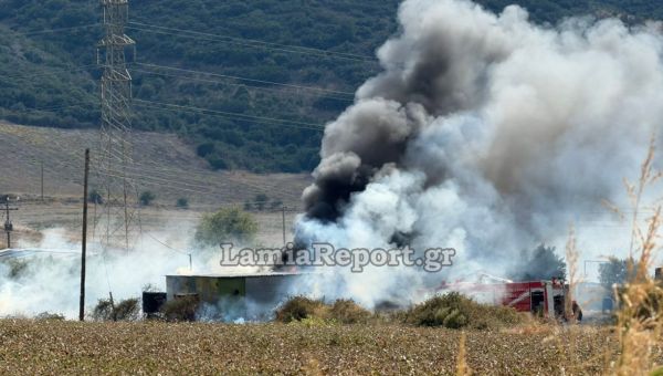 Πυρκαγιά στην Αγριλιά Λαμίας – Ισχυρές δυνάμεις της Πυροσβεστικής στο σημείο