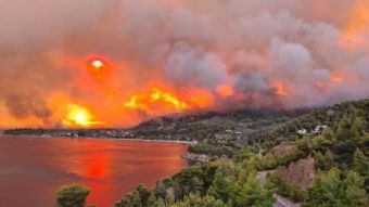 Πυρκαγιά στην Εύβοια: Πάνω από 150 σπίτια έχουν καεί στο Δήμο Μαντουδίου (+Βίντεο)