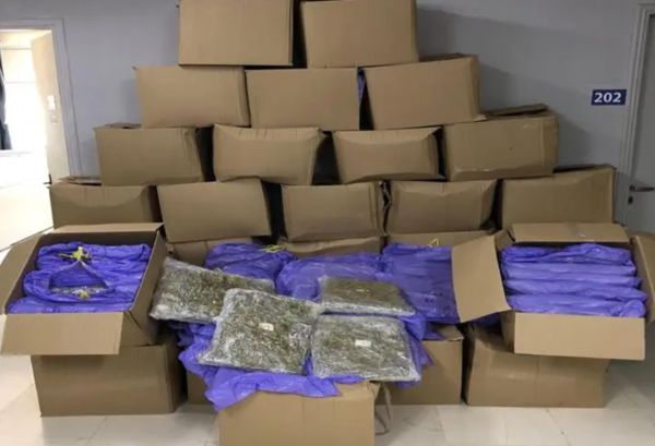 Εντοπίστηκαν περισσότερα από 353 κιλά κάνναβης σε επικαθήμενο στον Λιμένα Ηγουμενίτσας – Συνελήφθη 58χρονος αλλοδαπός (+Βίντεο)