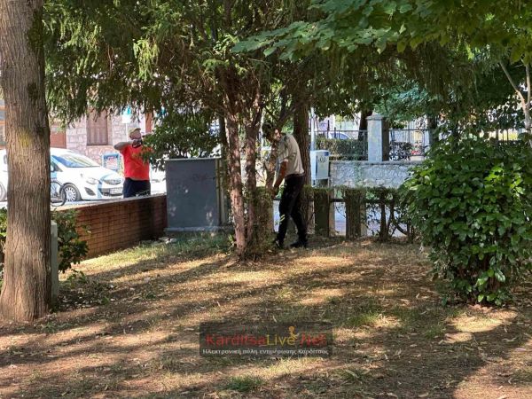 Εργασίες καλλωπισμού πραγματοποιούνται από το Δήμο Καρδίτσας στο Παυσίλυπο (+Φωτο)