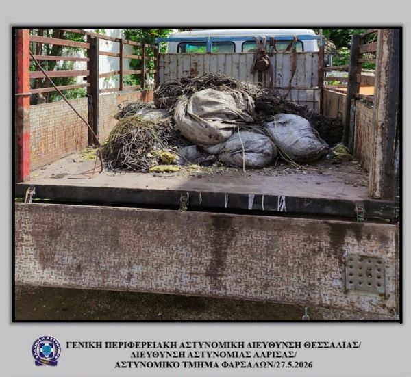 Φάρσαλα: Συνελήφθη για κάνναβη, αποδείχθηκε και ότι διέθετε παράνομα 1,5 τόνο χαλκού