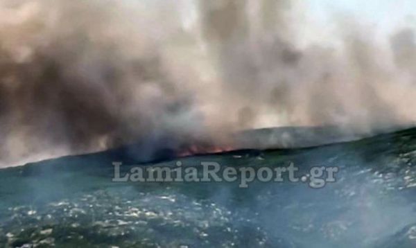 Συνεχίζει να καίει η πυρκαγιά στο Πετρωτό Δομοκού