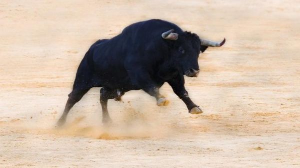 Φρικτός θάνατος άνδρα από επίθεση ταύρου στην αρχαία Κόρινθο