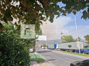 Βελεστίνο: Μεγάλη πυρκαγιά σε εξέλιξη - Αγνοείται 45χρονος βοσκός στον Άγιο Γεώργιο Φερών