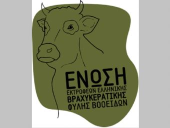 Ένωση Εκτροφέων Ελληνικής Βραχυκερατικής Φυλής Βοοειδών: Ανοιχτή επιστολή για τη μη καταβολή ενίσχυσης ήσσονος σημασίας (de minimis) για τα αυτόχθονα βοοειδή