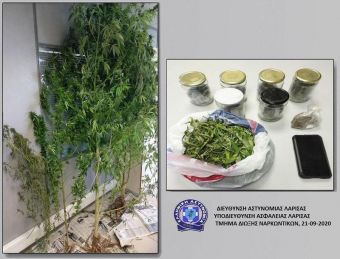 Λάρισα: Σύλληψη ενός ατόμου για κατοχή ναρκωτικών - καλλιεργούσε κάνναβη στην αυλή του