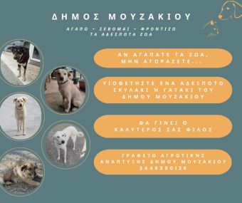 Δήμος Μουζακίου: Αγαπώ – Σέβομαι – Φροντίζω τα Αδέσποτα Ζώα