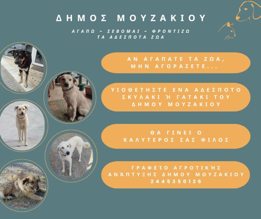 Δήμος Μουζακίου: Αγαπώ – Σέβομαι – Φροντίζω τα Αδέσποτα Ζώα