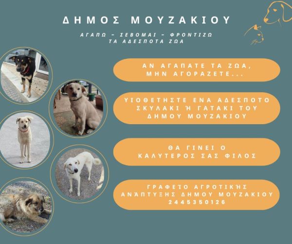 Δήμος Μουζακίου: Αγαπώ – Σέβομαι – Φροντίζω τα Αδέσποτα Ζώα