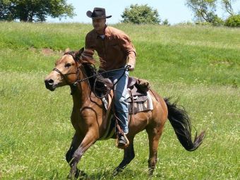 Δήμος Καρδίτσας: Σε αναζήτηση ...cowboys για τα ανεπιτήρητα!