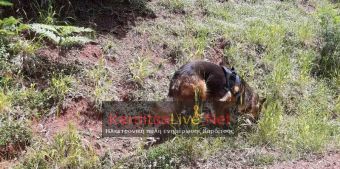 Άκαρπες και τη Δευτέρα (28/6) οι έρευνες για τον 79χρονο στην Αργιθέα - Έρχεται και drone