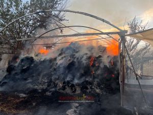 Κάηκε κτηνοτροφική μονάδα στο Προάστιο (+Φωτο)
