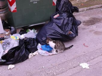 Η Π.Ο.Π. Μουζακίου παρεμβαίνει... για να μείνουμε ασφαλείς...