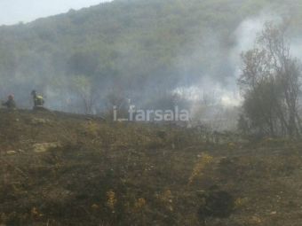 Πυρκαγιά κοντά στον Παλαιόμυλο Φαρσάλων
