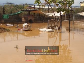 Καρδίτσα: Καταστροφές από την πλημμύρα στους τρεις χώρους φιλοξενίας αδέσποτων - Απώλειες και σε ζώα (+Φώτο)