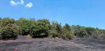 Υπό έλεγχο η φωτιά στο Γενέσι Τρικάλων – Για δεύτερη φορά στο ίδιο σημείο
