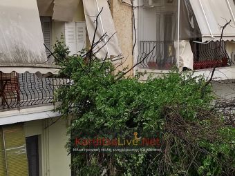 Τουλάχιστον 20 κλήσεις για πεσμένα δέντρα στο Δ. Καρδίτσας - Πυρκαγιά από κεραυνό στο Ρούσσο