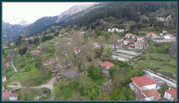 Όλγα Κορλού: Υποβολή πρότασης στον ΟΦΥΠΕΚΑ από τον Ιερό Ναό Αγίου Χαραλάμπους Λεοντίτου