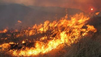 Σε εξέλιξη δύο πυρκαγιές σε ξερά χόρτα στα όρια του Δήμου Καρδίτσας
