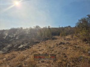 Οριοθετήθηκε η πυρκαγιά στο Τιτάνιο όρος (+Βίντεο)