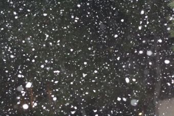 Σε εξέλιξη οι χιονοπτώσεις στα ορεινά της Καρδίτσας - Δείτε ζωντανή εικόνα από το Μορφοβούνι
