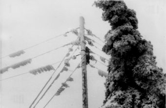 Πλήρης αποκατάσταση της ηλεκτροδότησης από τις ζημιές του "Διομήδη" στο Δήμο Αργιθέας