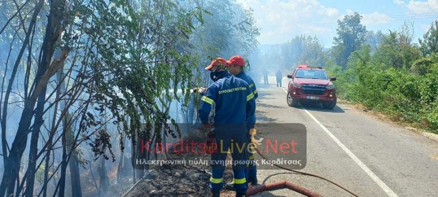 Οριοθετήθηκε η πυρκαγιά στην περιοχή της Κρύας Βρύσης Καρδίτσας
