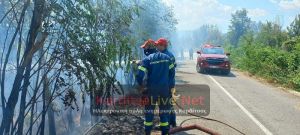 Πυρκαγιά σε εξέλιξη στην περιοχή της Κρύας Βρύσης Καρδίτσας