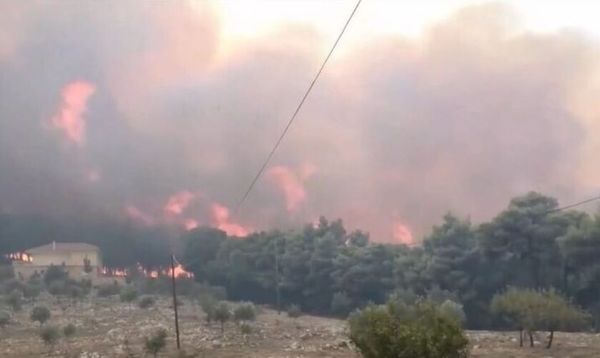 Μάχη με τις φλόγες στην Αλεξανδρούπολη - ενισχύονται συνεχώς οι δυνάμεις, εκκενώθηκαν οχτώ οικισμοί, σε επιφυλακή και το αεροδρόμιο