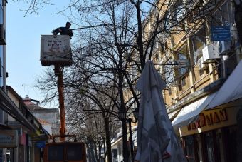 Εργασίες κλαδέματος στο κέντρο της Καρδίτσας