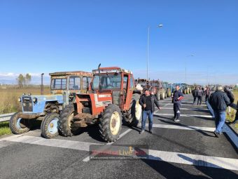 Αυτά είναι όλα τα αιτήματα των αγροτών, των κτηνοτρόφων και των μελισσοκόμων προς την κυβέρνηση