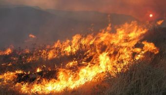 Σε κατάσταση πολιτικής προστασίας κηρύχθηκαν περιοχές της Μαγνησίας εξαιτίας των πυρκαγιών