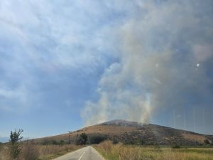 Μεγάλη πυρκαγιά σε εξέλιξη σε περιοχή κοντά στην Μεταμόρφωση του Δήμου Παλαμά (+Φωτο)