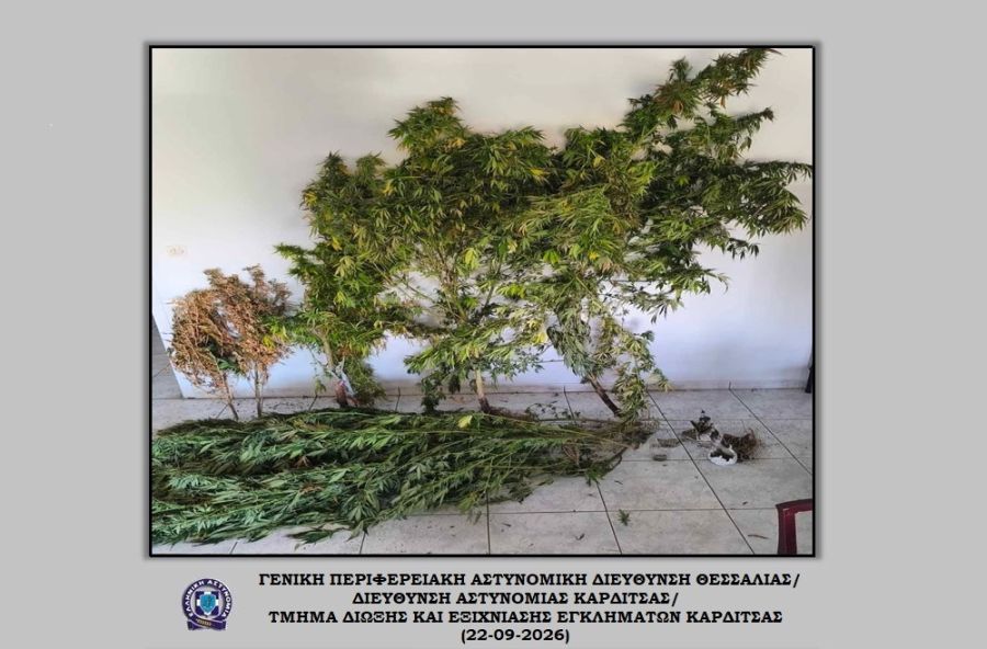 Καρδίτσα: Συνελήφθη 70χρονος που καλλιεργούσε κάνναβη στην οικία του