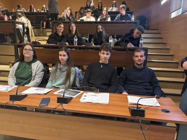 4ο Γενικό Λύκειο Καρδίτσας: Συμμετοχή στο 3ο Δημοτικό Συμβούλιο Εφήβων Καρδίτσας