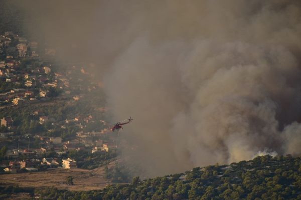 Πυρκαγιά στη Φυλή: Μάχη να μην επεκταθεί προς την κορυφογραμμή της Πάρνηθας (+Φωτο)